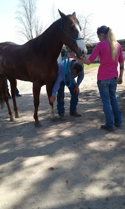Clovis Equine Clinic Picture 6
