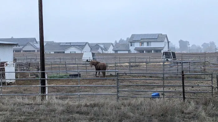 Clovis Equine Clinic Picture 4