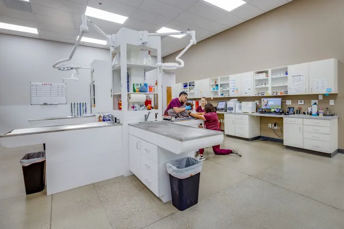 Shepherd Pet Hospital Picture 8