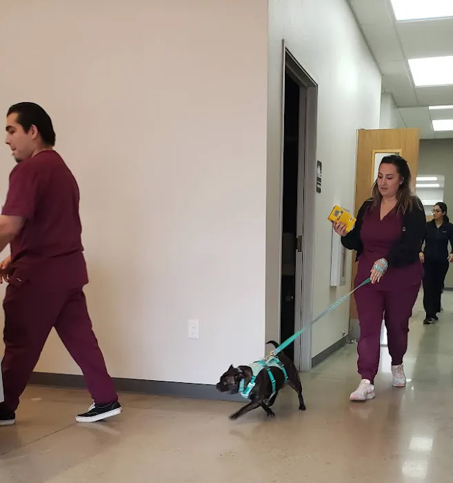 Shepherd Pet Hospital Picture 6