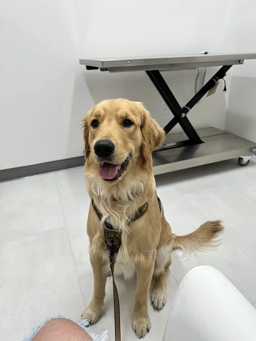 Riverpark Pet Hospital Picture 3