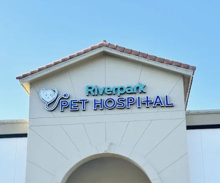 Riverpark Pet Hospital