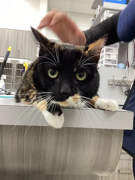 Riverpark Pet Hospital Picture 5