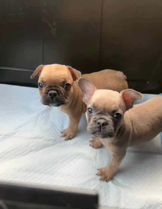 Riverpark Pet Hospital Picture 4