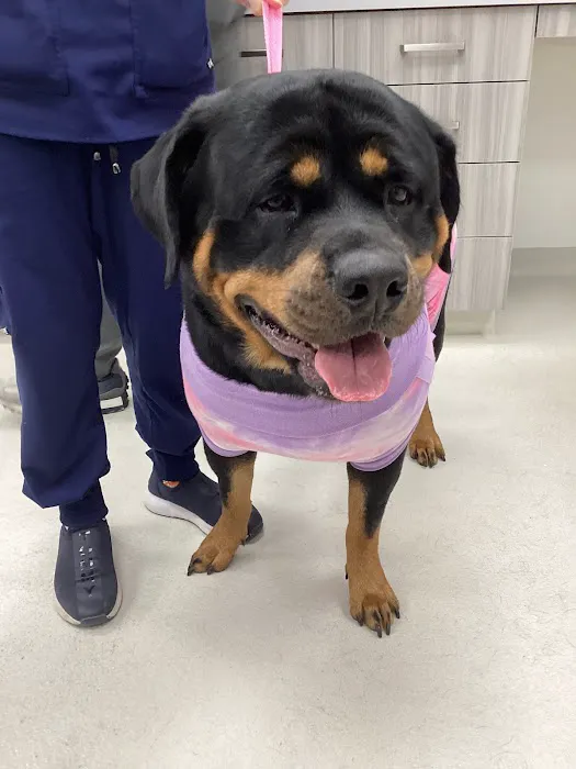 Riverpark Pet Hospital Picture 9