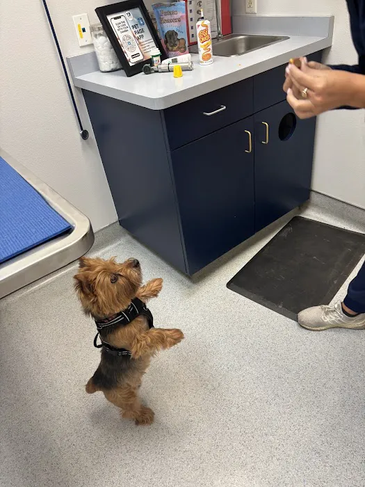Waterhouse Animal Hospital Picture 3