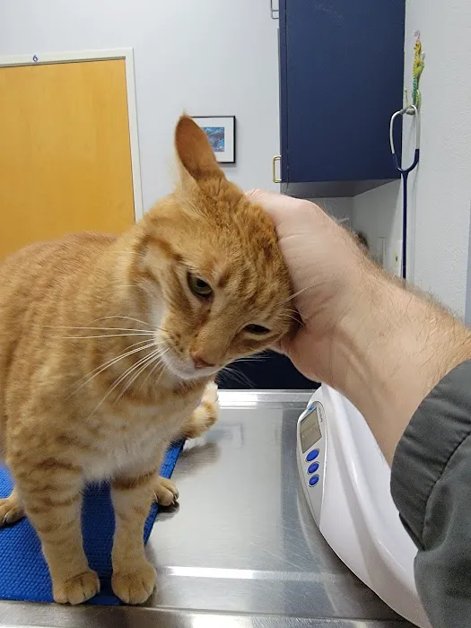 Waterhouse Animal Hospital Picture 2