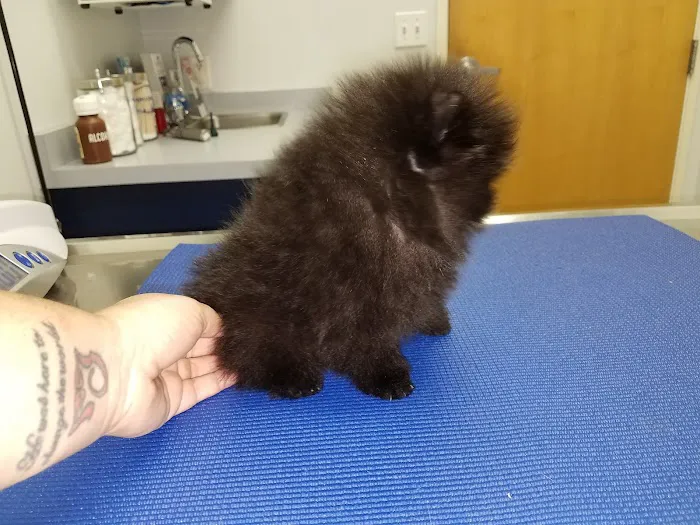 Waterhouse Animal Hospital Picture 6