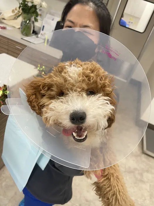 El Camino Veterinary Hospital Picture 1