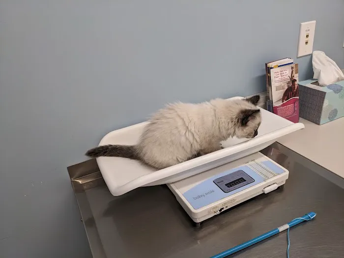 El Camino Veterinary Hospital Picture 7