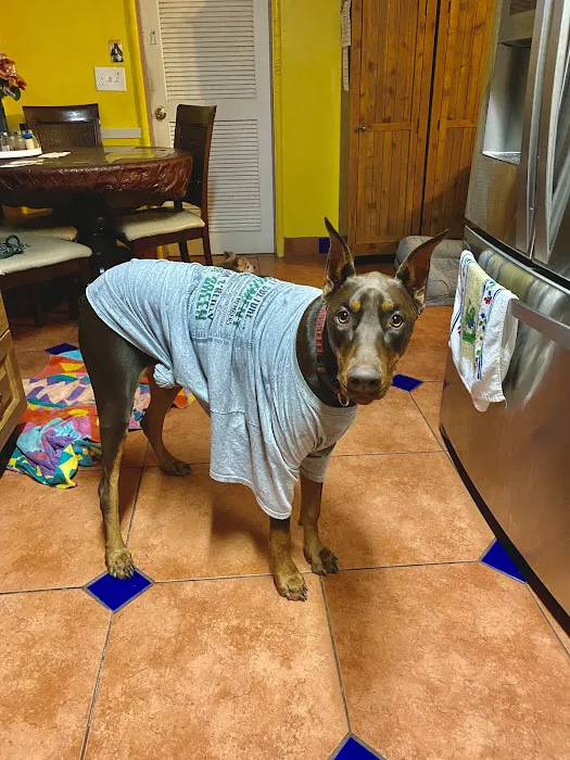 Watt Avenue Pet Hospital Picture 6