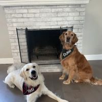 VCA La Riviera Animal Medical Center ico