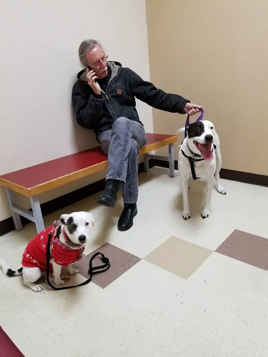 VCA La Riviera Animal Medical Center Picture 7