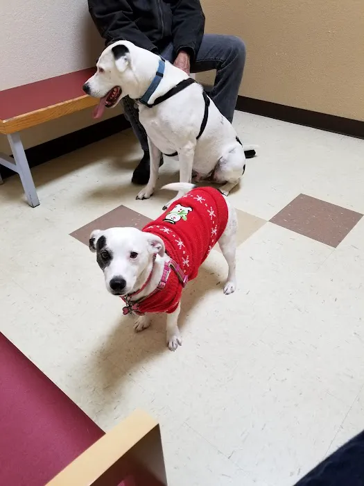 VCA La Riviera Animal Medical Center Picture 10