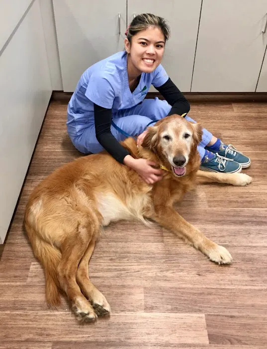 VCA Country Oaks Animal Hospital Picture 3