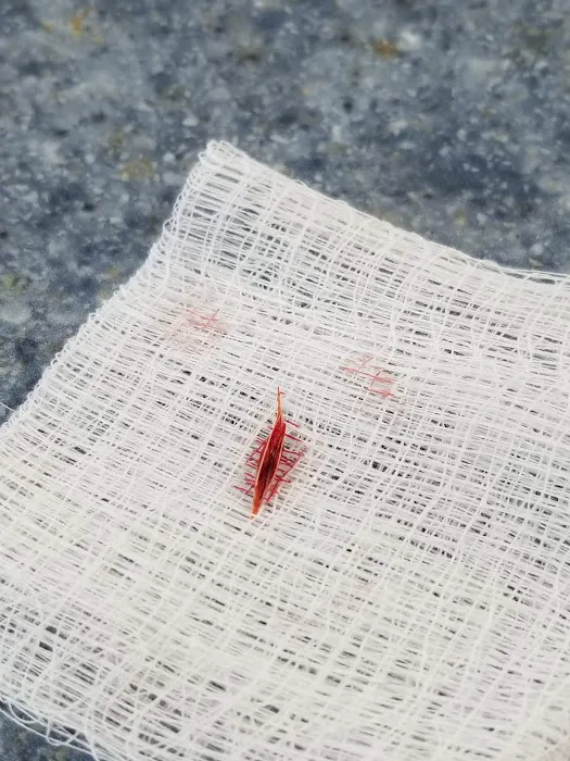 Southgate Veterinary Hospital Picture 2