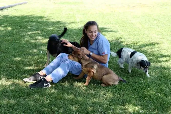 Southgate Veterinary Hospital Picture 5
