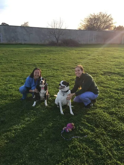 Southgate Veterinary Hospital Picture 10