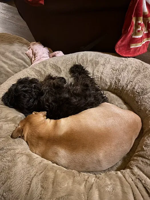 Banfield Pet Hospital Picture 4