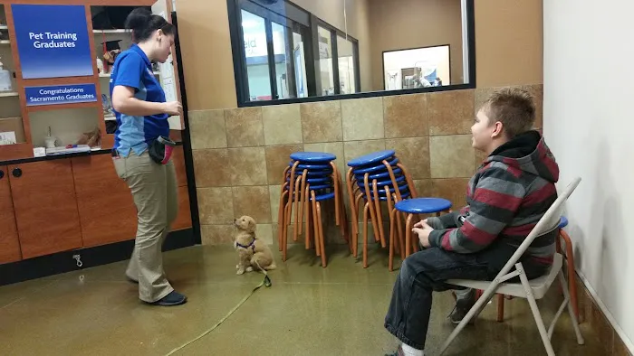Banfield Pet Hospital Picture 7
