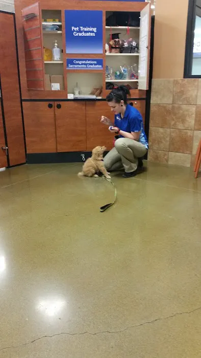 Banfield Pet Hospital Picture 6