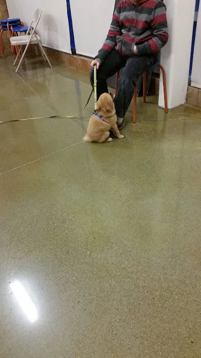 Banfield Pet Hospital Picture 10