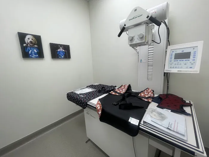 City of Trees Animal Hospital Picture 3