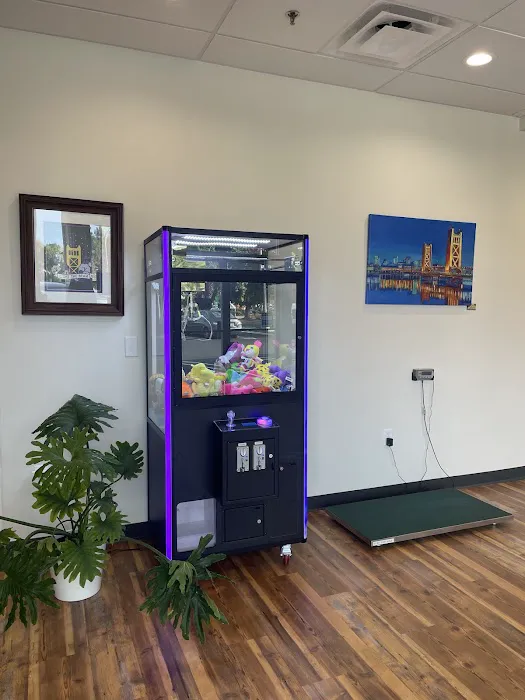 City of Trees Animal Hospital Picture 9