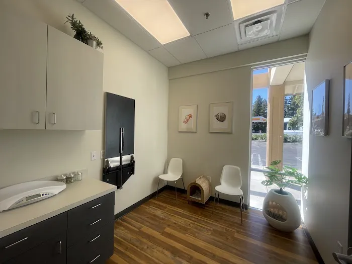 City of Trees Animal Hospital Picture 5