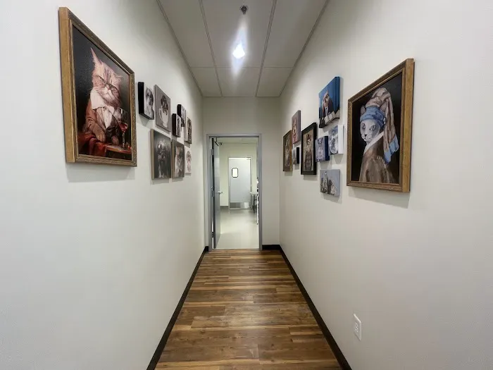 City of Trees Animal Hospital Picture 7