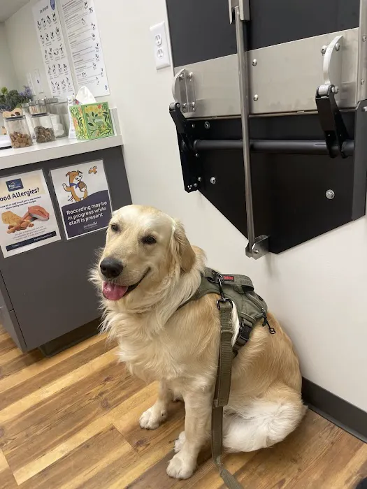 City of Trees Animal Hospital Picture 8