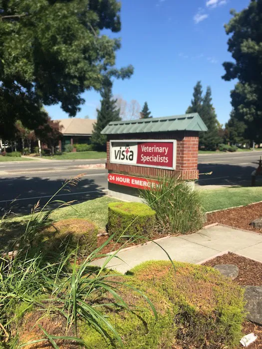 Vista Veterinary Specialists Picture 9