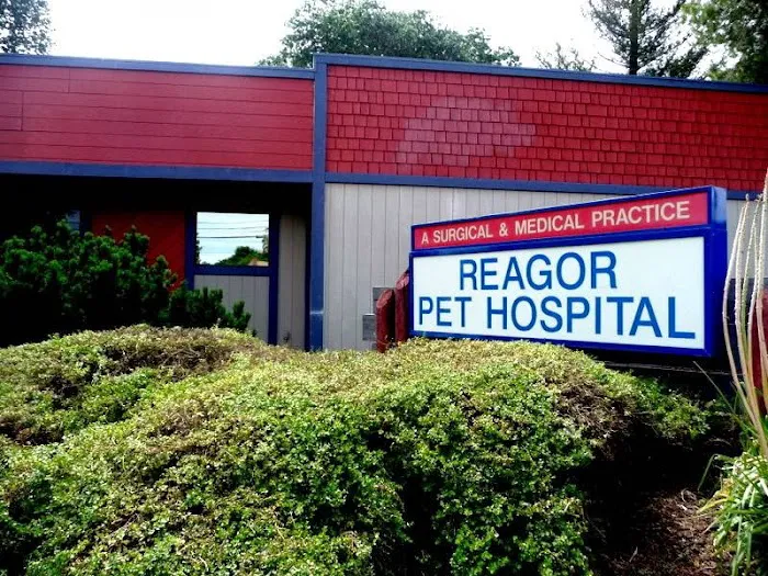 Reagor Pet Hospital Picture 3