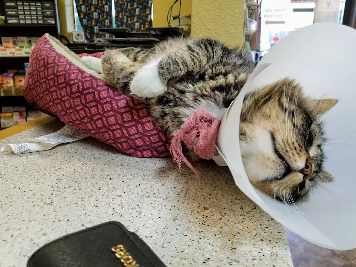 Reagor Pet Hospital Picture 5