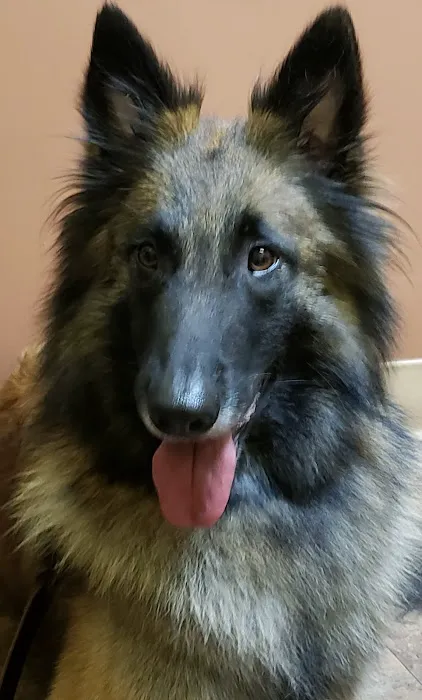 Reagor Pet Hospital Picture 2