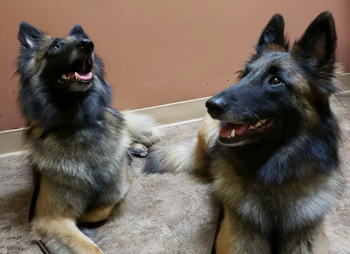 Reagor Pet Hospital Picture 8