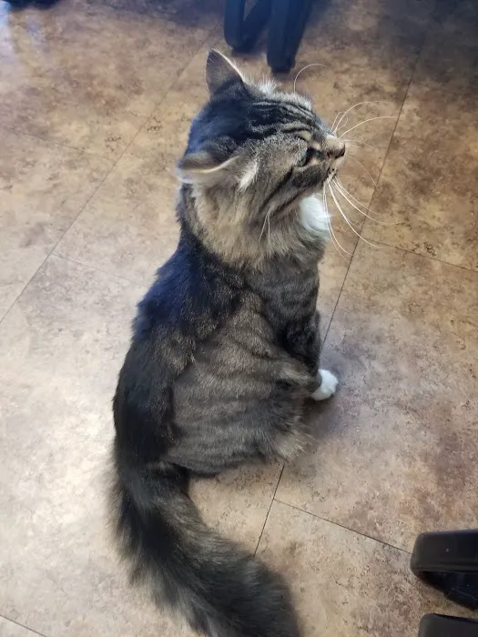 Reagor Pet Hospital Picture 10