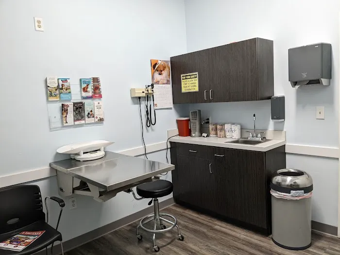 Abbey Animal Hospital Picture 1