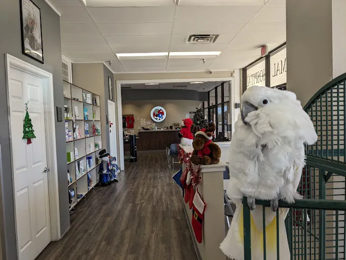Abbey Animal Hospital Picture 4
