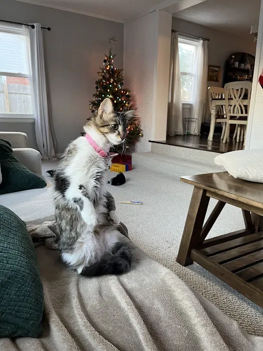 CityVet | Virginia Beach Picture 9