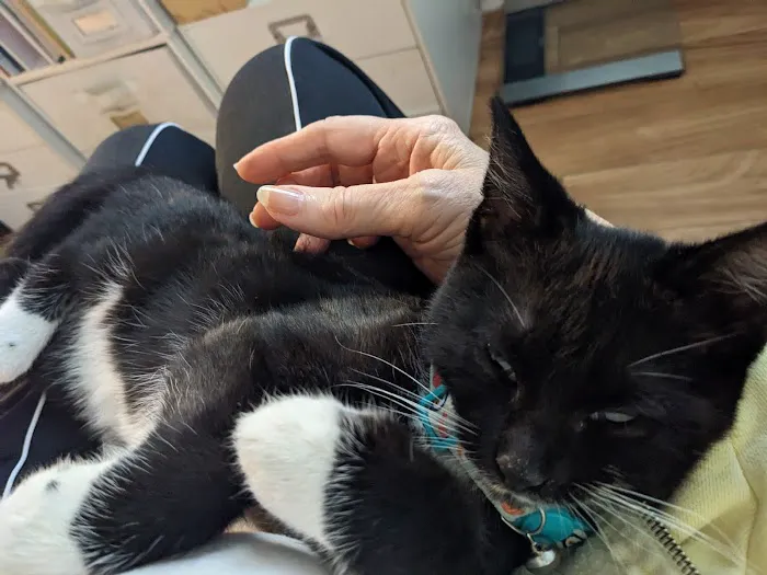 CityVet | Virginia Beach Picture 10