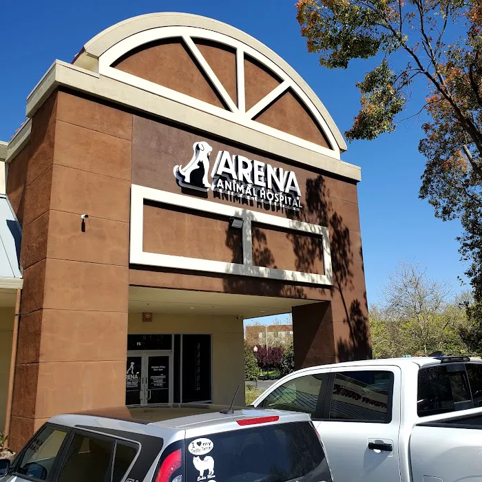 Arena Animal Hospital Picture 3