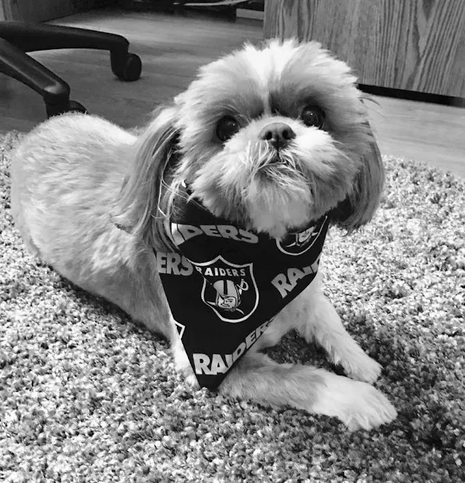 Natomas Veterinary Hospital Picture 3
