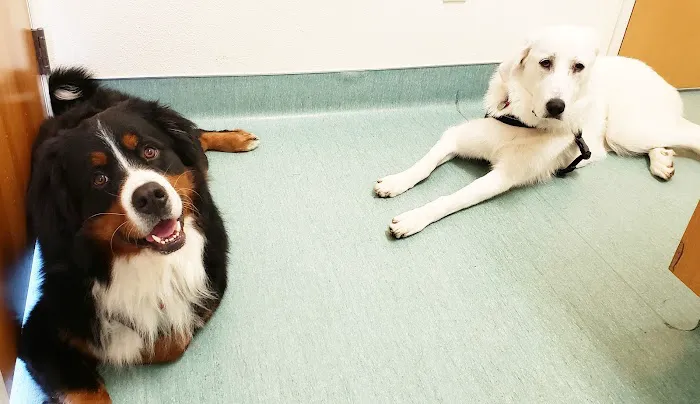 Natomas Veterinary Hospital Picture 6