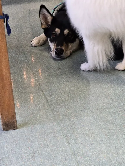 Natomas Veterinary Hospital Picture 8
