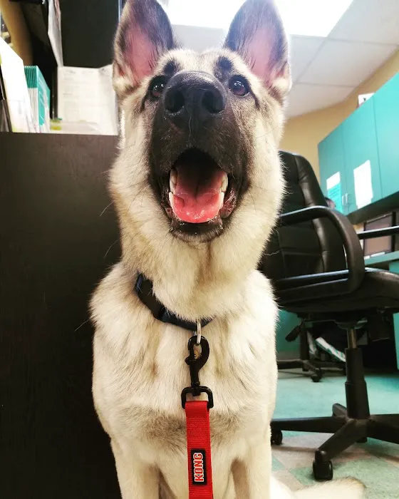 Salem Veterinary Hospital Picture 7