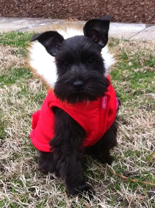 Salem Veterinary Hospital Picture 10