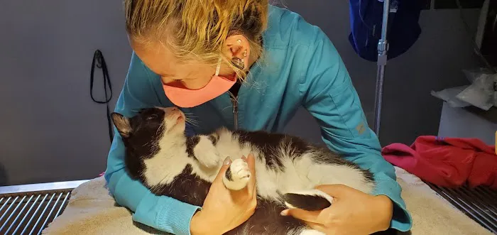 Pet Care Veterinary Hospital Picture 1