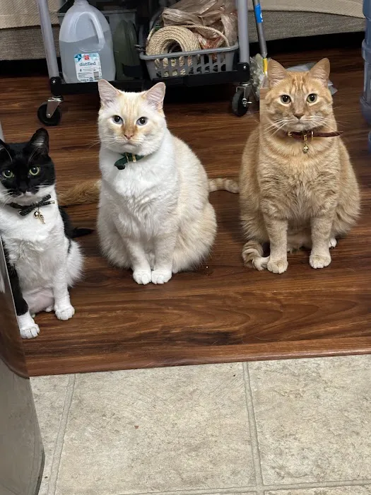 Pet Care Veterinary Hospital Picture 5