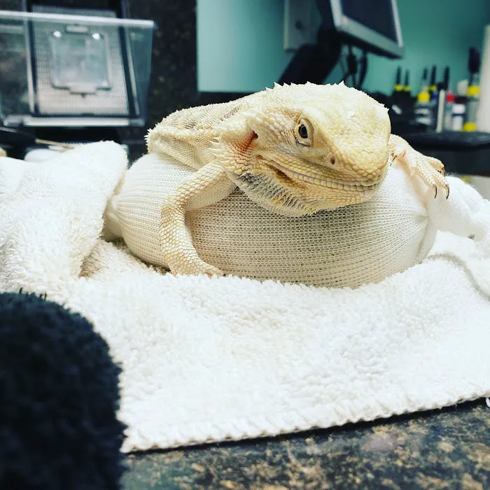 Pet Care Veterinary Hospital Picture 7